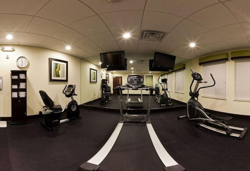 酒店 Holiday Inn Express & Suites Raceland   Highway 90, An Ihg