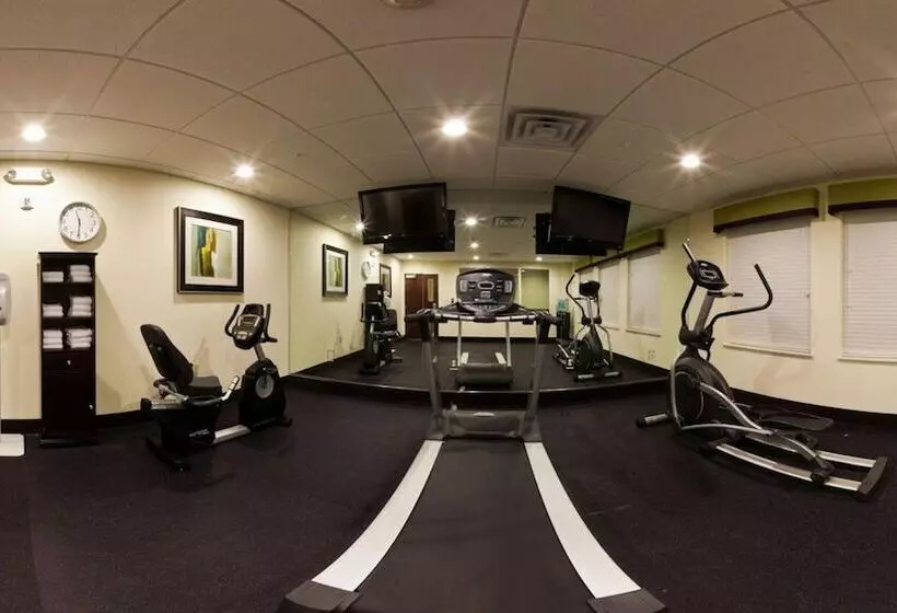 酒店 Holiday Inn Express & Suites Raceland Highway 90, An Ihg