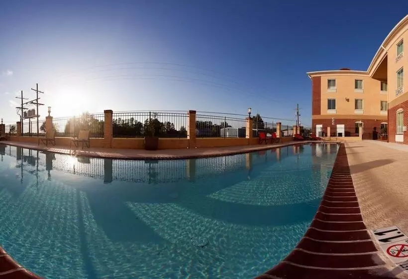 酒店 Holiday Inn Express & Suites Raceland Highway 90, An Ihg