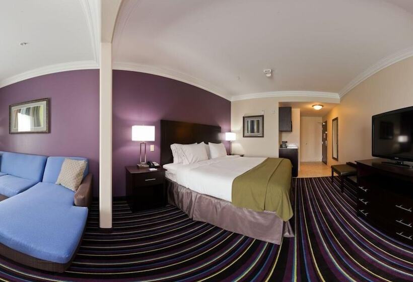酒店 Holiday Inn Express & Suites Raceland   Highway 90, An Ihg