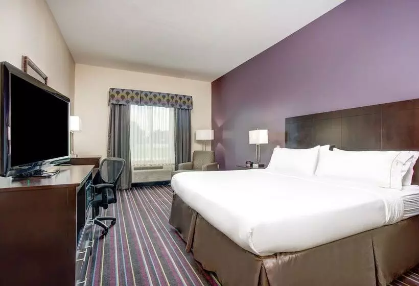 酒店 Holiday Inn Express & Suites Raceland Highway 90, An Ihg