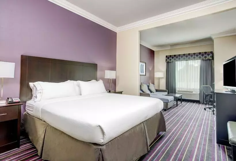 酒店 Holiday Inn Express & Suites Raceland Highway 90, An Ihg