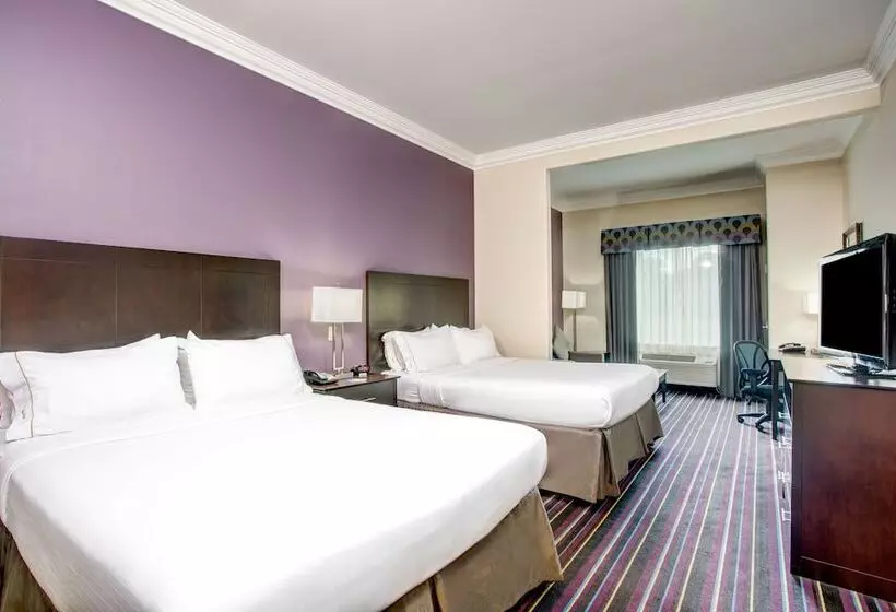 酒店 Holiday Inn Express & Suites Raceland Highway 90, An Ihg