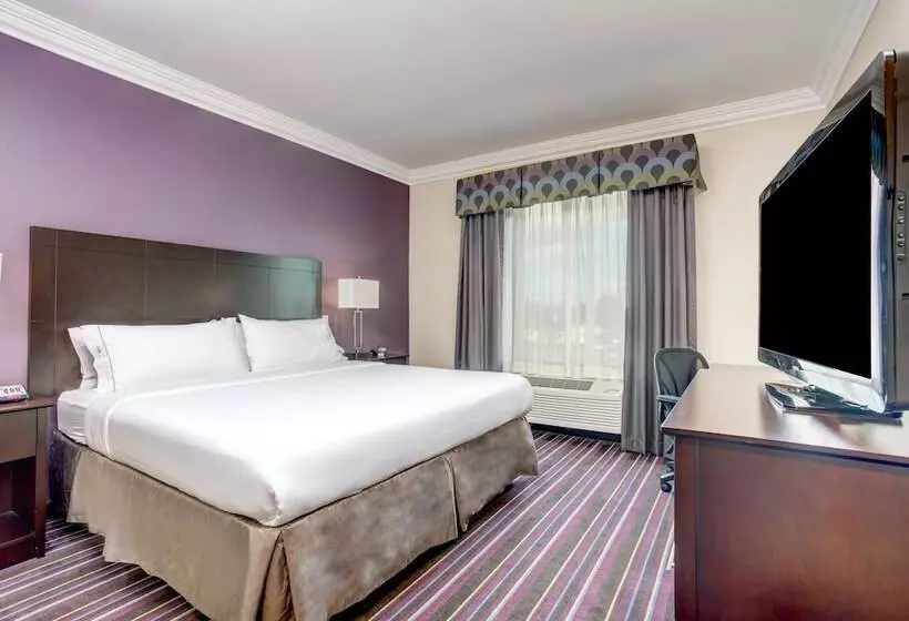 酒店 Holiday Inn Express & Suites Raceland Highway 90, An Ihg