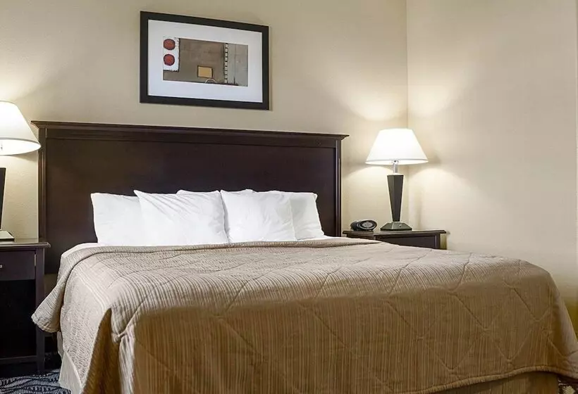 ホテル Mainstay Suites Bismarck
