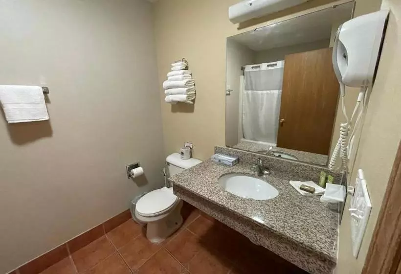 בית מלון כפרי The Delton