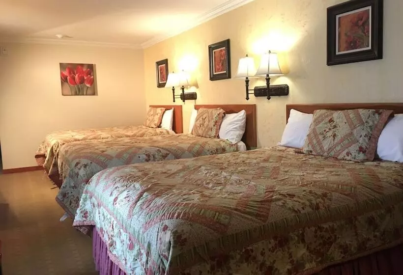 Мотель Acorn Motor Inn