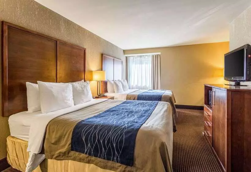 בית מלון כפרי Comfort Inn