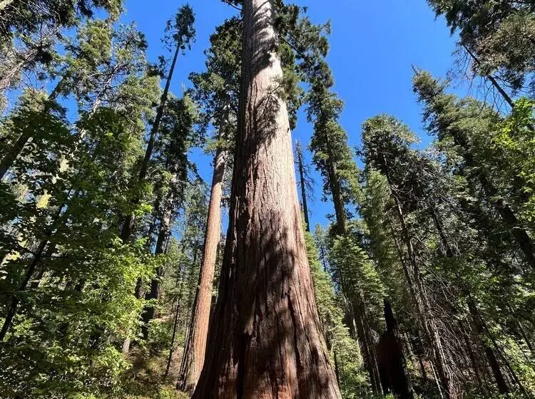 ホテル Lumberjack