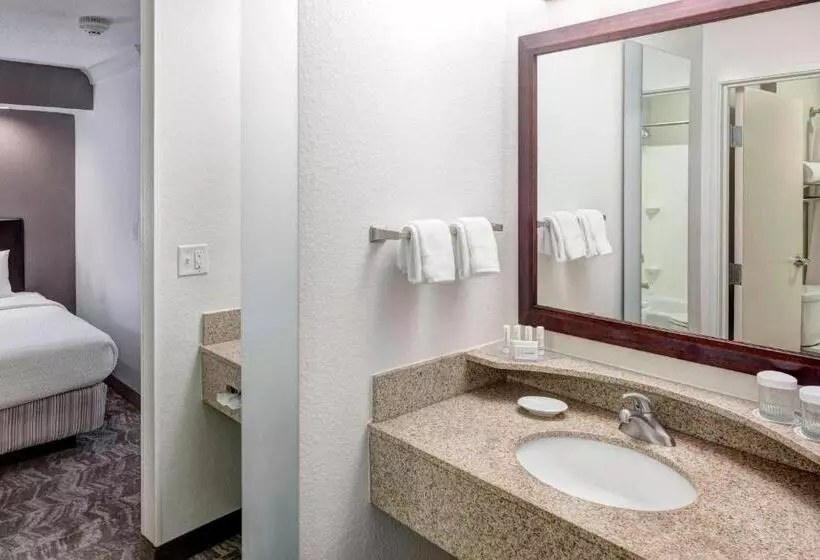 酒店 Springhill Suites Columbus