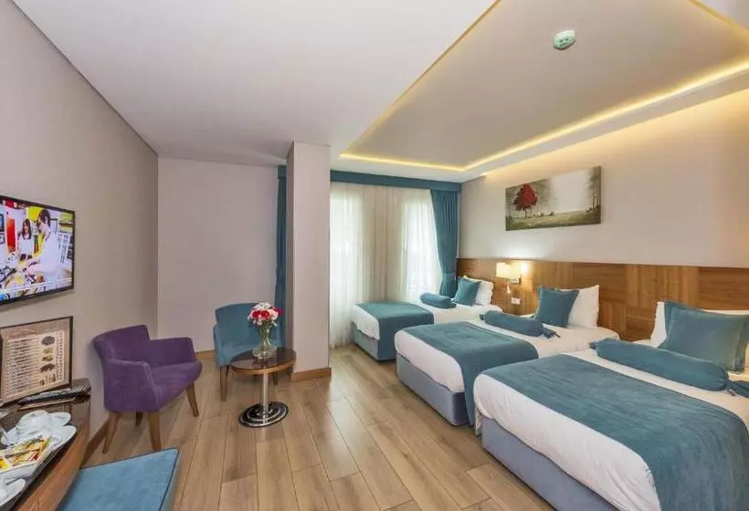 The Meretto Hotel Istanbul Old City