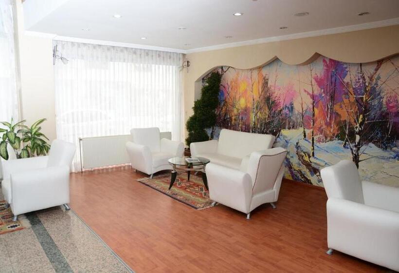 ホテル Turk Inn Uzcan