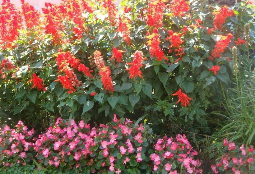 מוטל Maple Leaf Inn Lake Placid