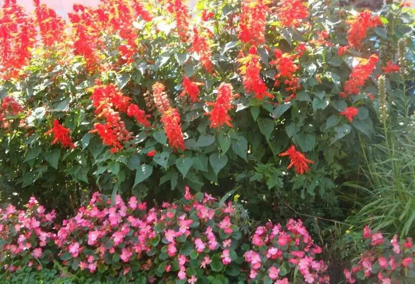 Мотель Maple Leaf Inn Lake Placid