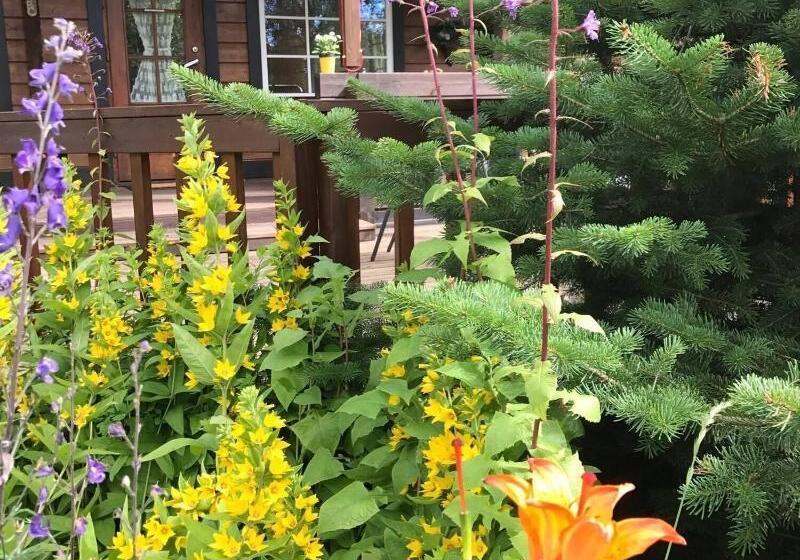 Blue Hotel Fagrilundur On The Golden Circle