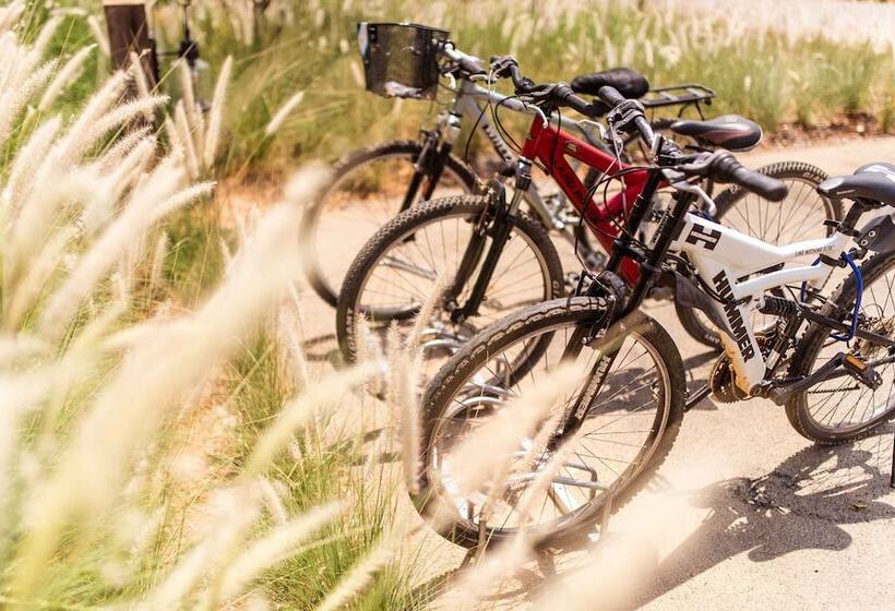 Отель Roukh Kiri Khaoyai, The Centara Collection