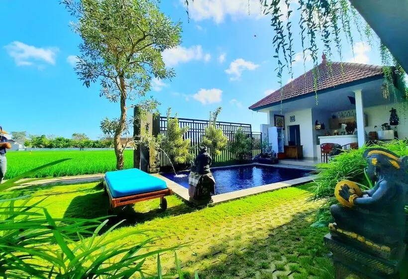 پانسیون Mesare Guest House By Dwaraloka