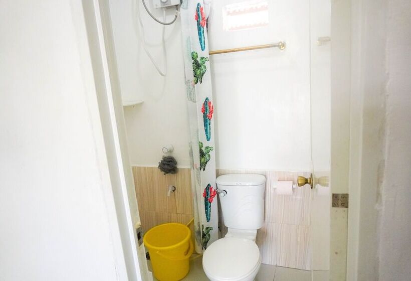 Mabuhay Thresher Dive Resort By Cocotel