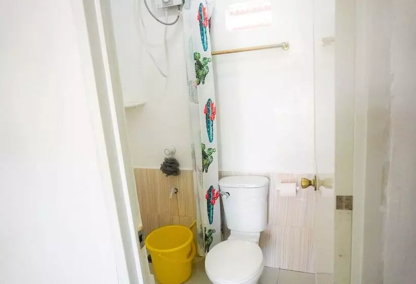 Mabuhay Thresher Dive Resort By Cocotel