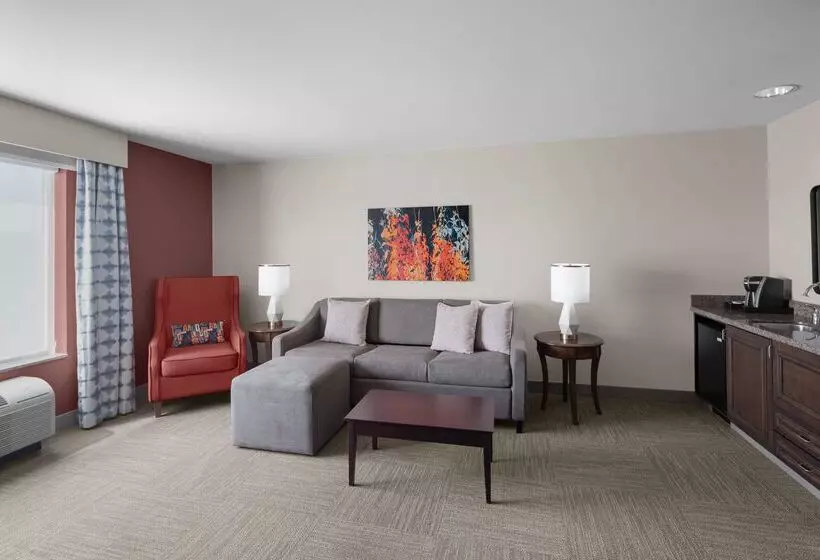 酒店 Hilton Garden Inn Salt Lake City Airport