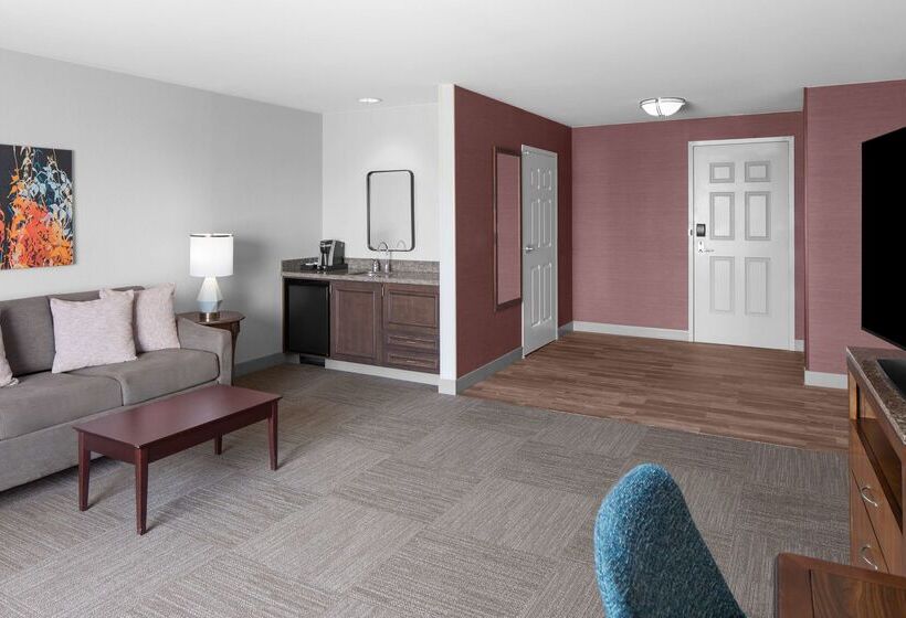 Отель Hilton Garden Inn Salt Lake City Airport