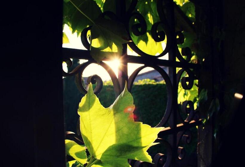 호텔 La Posada De Lalola