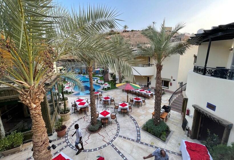 هتل Naama Inn