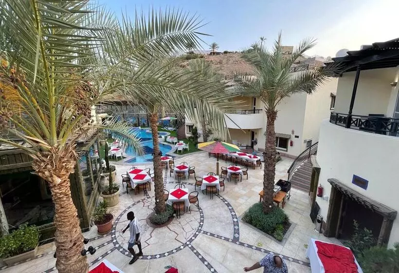 هتل Naama Inn