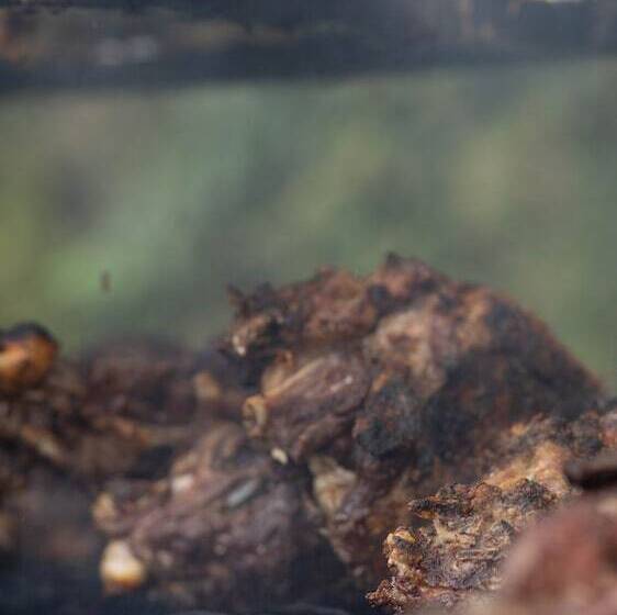 ホテル Serengeti Migration Camp