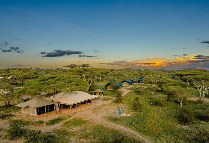 ホテル Serengeti Migration Camp