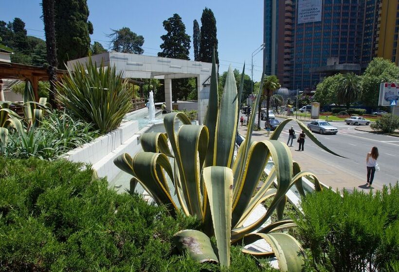 בית מלון כפרי Sochi Breeze Spa