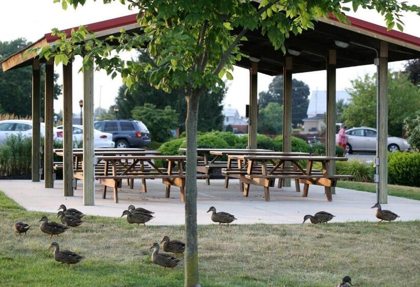 فندق Birdinhand Family Inn