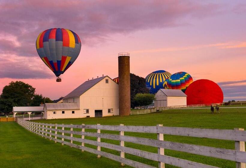 فندق Birdinhand Family Inn