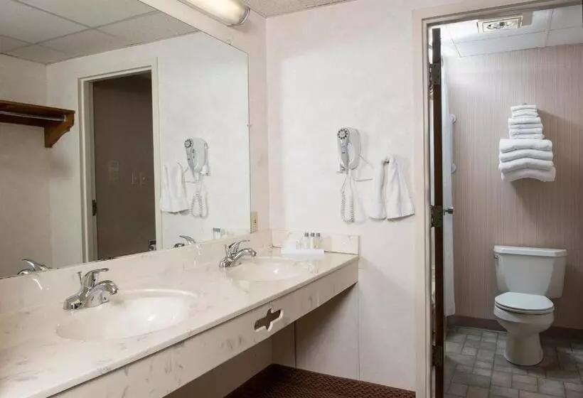 فندق Birdinhand Family Inn