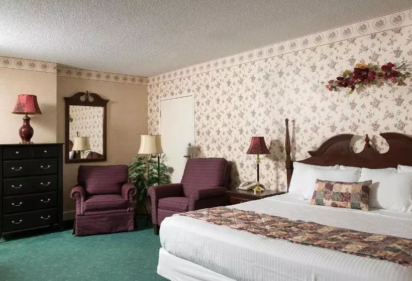 فندق Birdinhand Family Inn