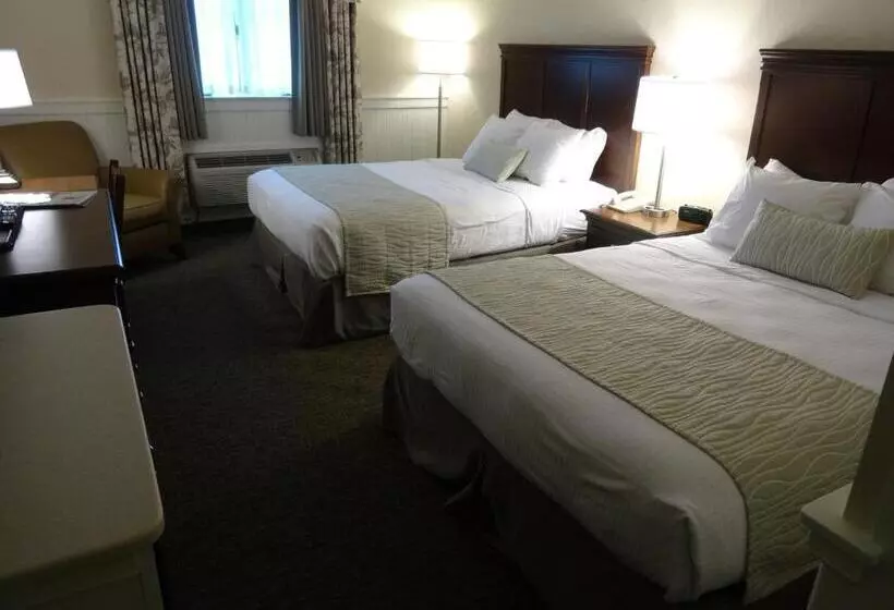 فندق Birdinhand Family Inn