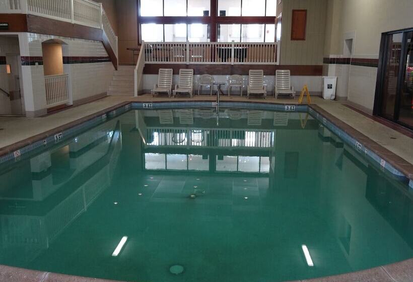 فندق Birdinhand Family Inn