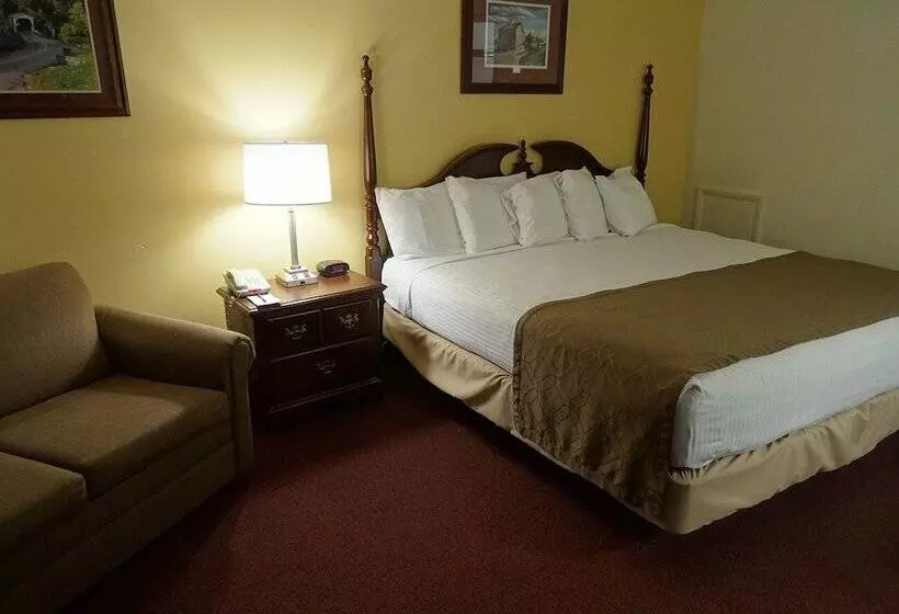 فندق Birdinhand Family Inn