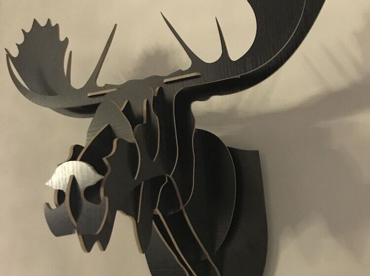 هتل Chic & Basic Zoo