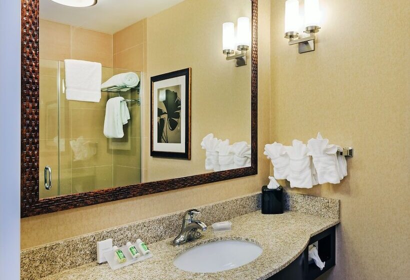 فندق Hilton Garden Inn Midland