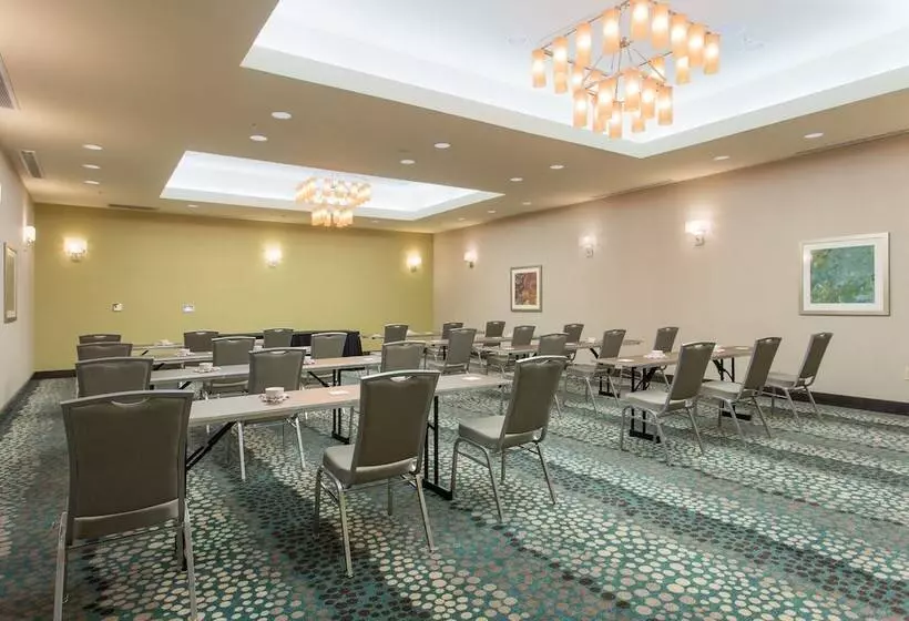 호텔 Holiday Inn Texarkana Arkansas Convention Center, An Ihg