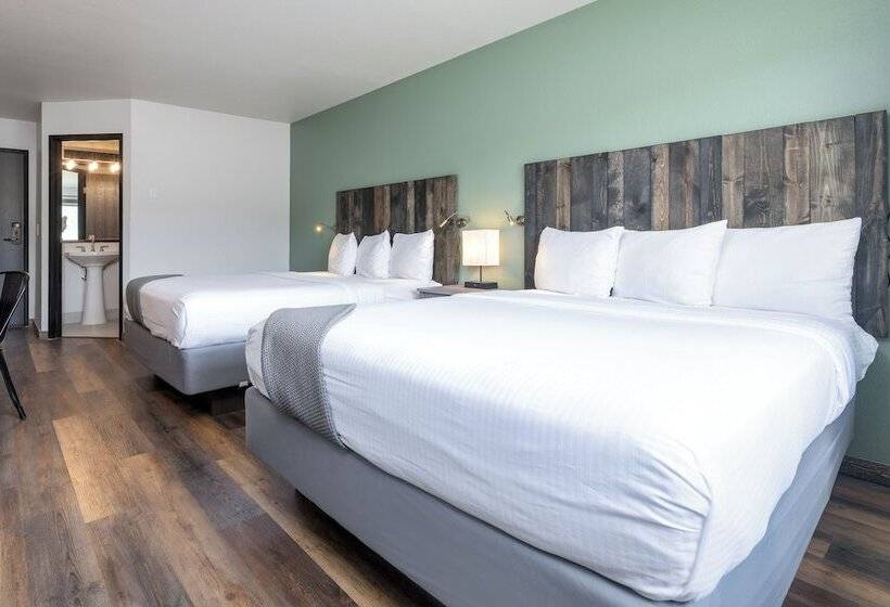 בית מלון כפרי Mtn Lodge Ridgway