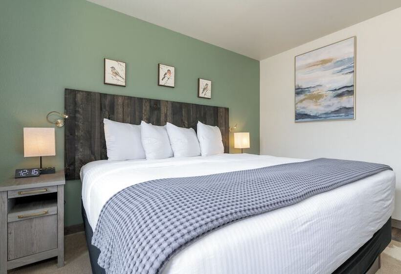 ホテル Mtn Lodge Ridgway