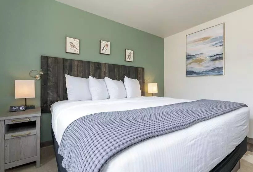 Отель Mtn Lodge Ridgway