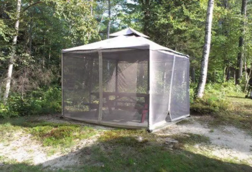 渡假胜地 Evergreen Valley Inn