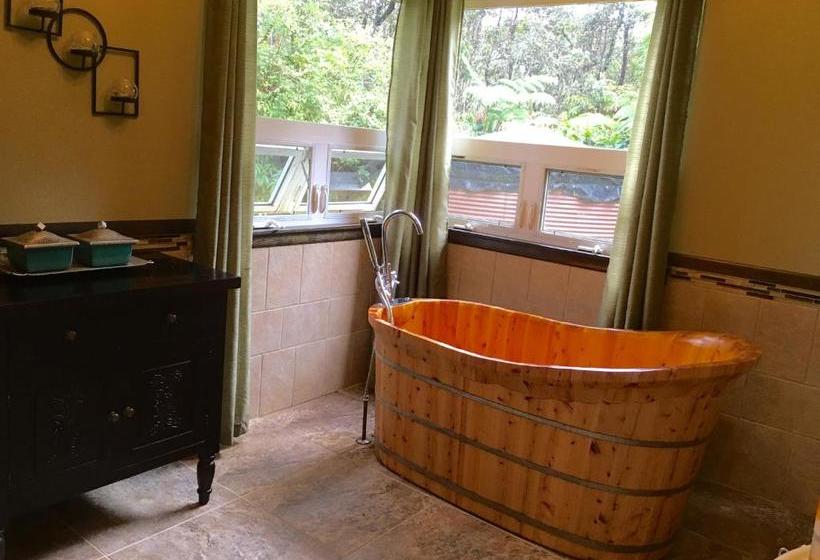 Volcano Singing Forest Cottage