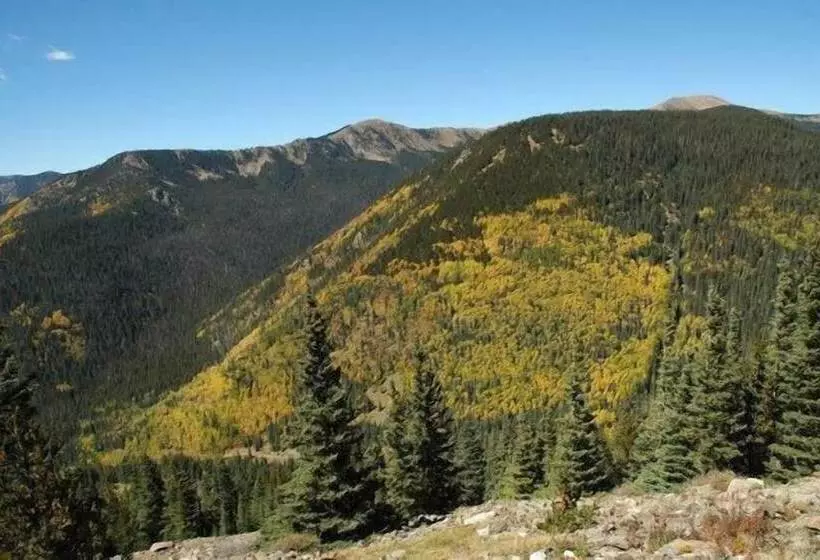 酒店 Amizette Inn And Restaurant