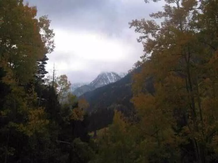 酒店 Amizette Inn And Restaurant