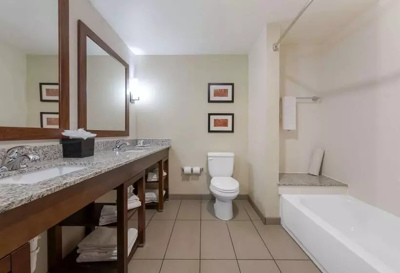 هتل Comfort Suites And Conference Center