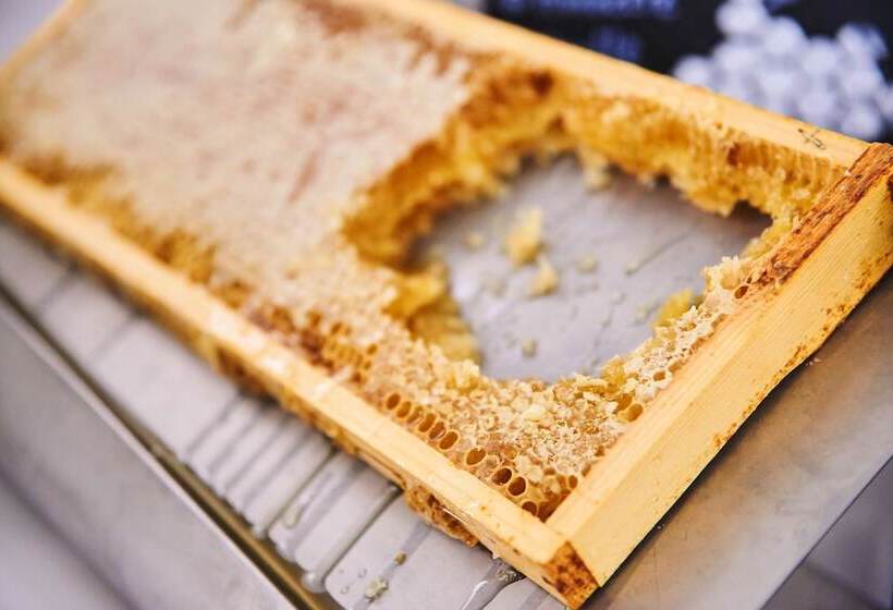 호텔 Maxx By Steigenberger Vienna